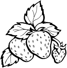 67 Contoh Kolase Buah Gratis Terbaik - Kumpulan Gambar Kolase 226_X_223_jpg