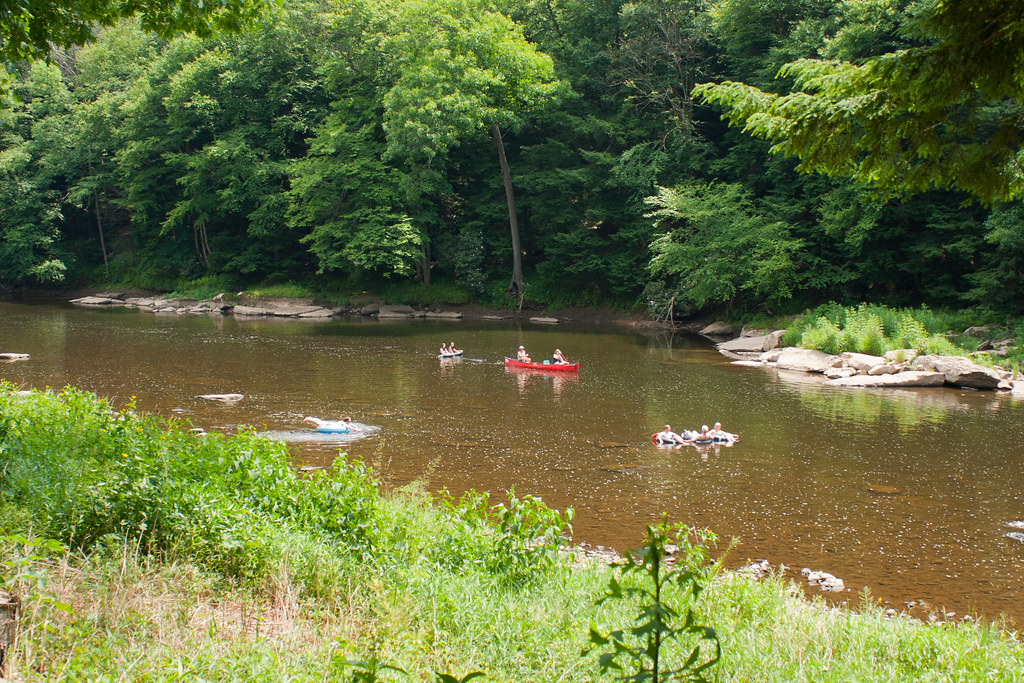 The cabins are located along the shore of lake absegami. People canoe and tube the Clarion River at Cook Forest Sta