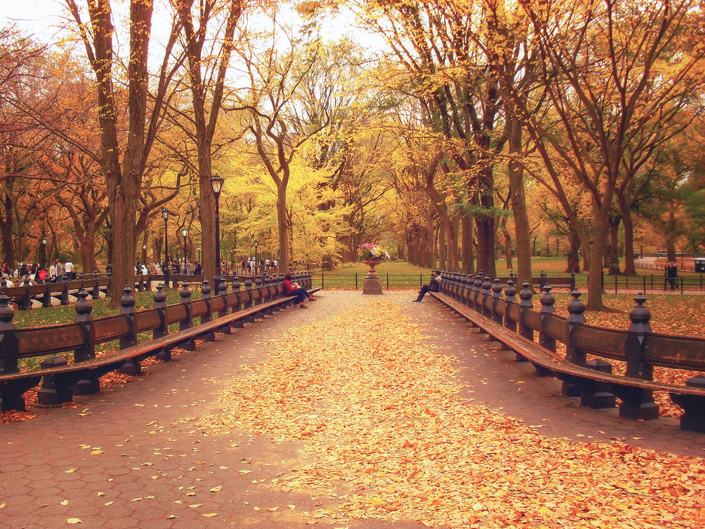 Best state parks best ski resorts food to try best breweries best wineries best time to visit. Autumn Leaves - Central Park - New York City | Autumn