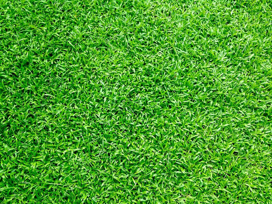 74 green garden wallpapers images in full hd, 2k and 4k sizes. Hd Wallpaper Nature Field Summer Garden Background Bright Close Up Environment Wallpaper Flare