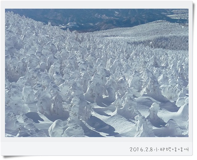 【日本藏王溫泉滑雪】晴天率很低的藏王樹冰