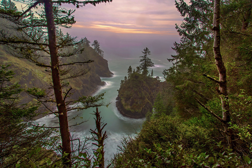 You can do a variety of searches that allow you to see if speci. Misty Cove on the Oregon Coast | A misty evening view photogâ¦ | Flickr