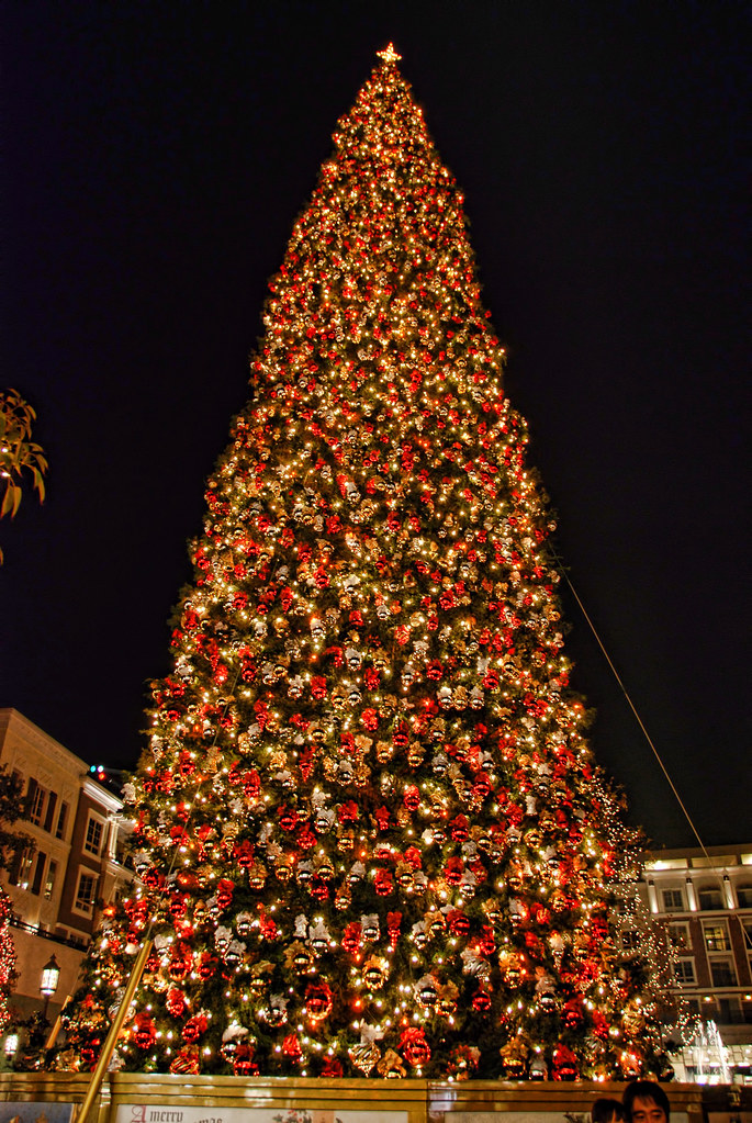 The iconic rockefeller center christmas tree weighs 10 tons and required a crane and a whole bunch of workers to stand up. Americana Christmas Tree Glendale, California | 100-foot