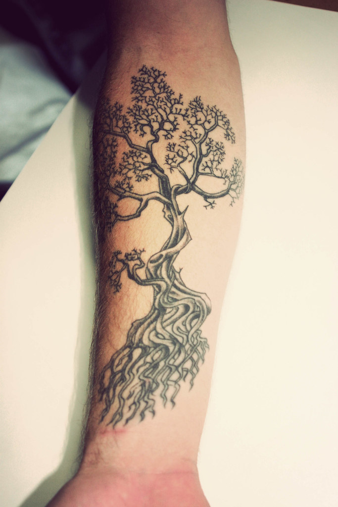 Bonsai Tree Tattoo Designs Www Picsbud Com