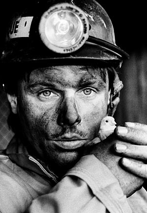 Getty images the price of bitcoin was already soaring when tesla announced in february that it had bought $1.5 billion worth of the digital currency, sending. Last coal mine canary | A coal miner with the last canary