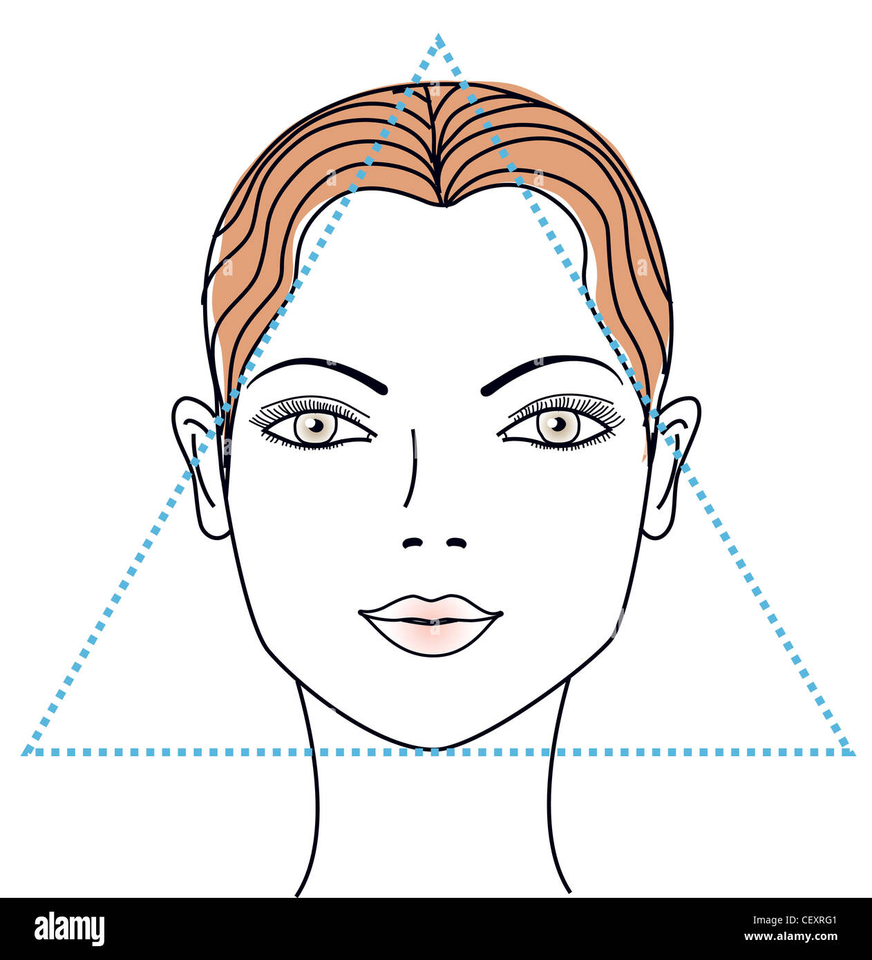 From basic shapes and each feature of the face, like the eyes, nose, mouth, etc. Different Face Shapes Triangular Face Stock Photo Alamy