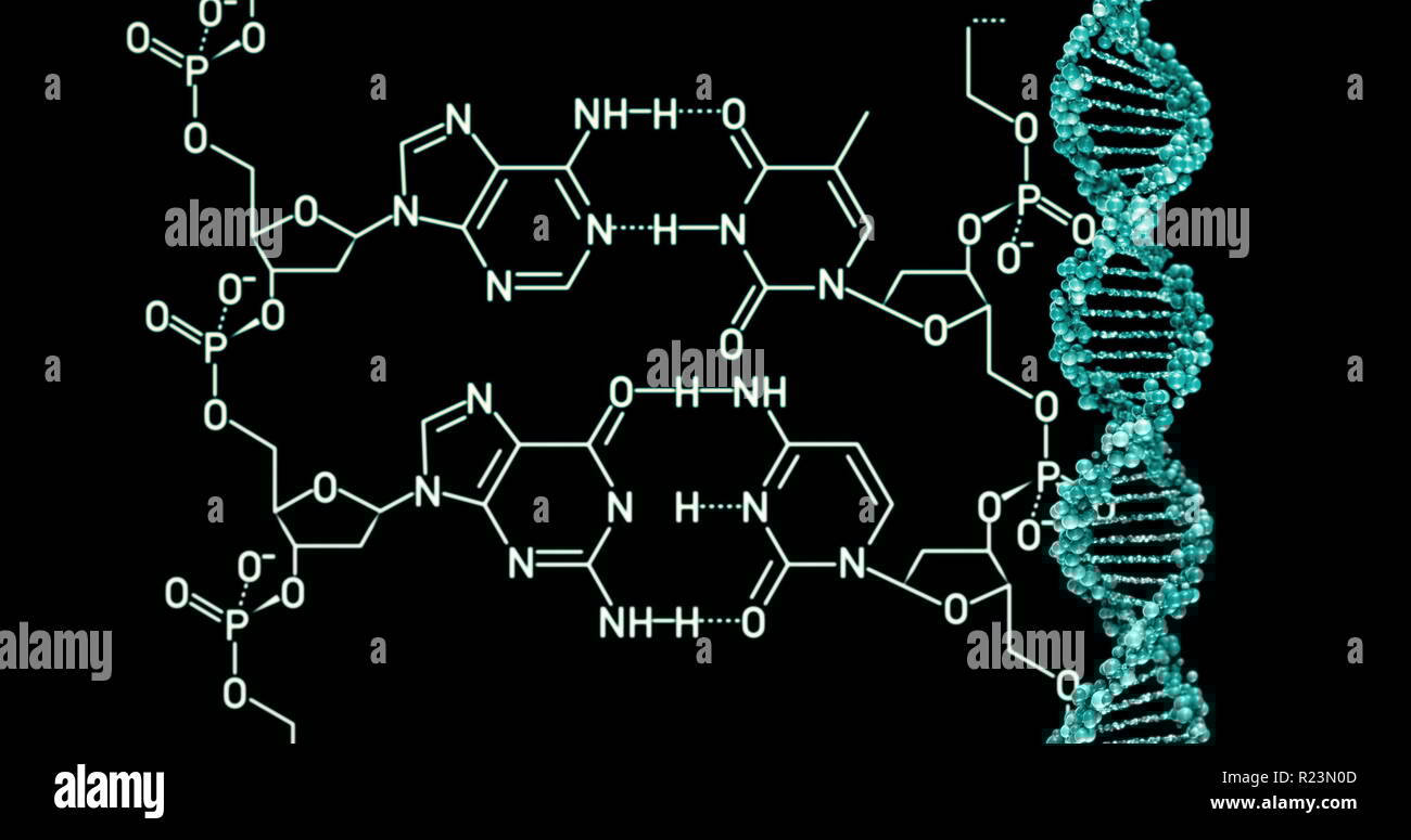 (2008) discovery of dna structure and function: Dna Molecule Structure Background 3d Render Illustration Stock Photo Alamy