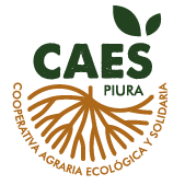 Caes Caes Piura Est Une Cooperative Agricole Dont L Objectif Principal Est La Commercialisation De Produits Biologiques Que Les Associe E S Cultivent Dans Divers Districts De La Sierra De Piura Zone Humide Du