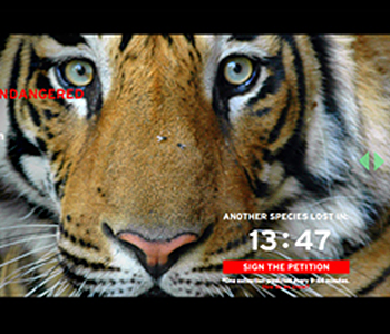 Conservation International