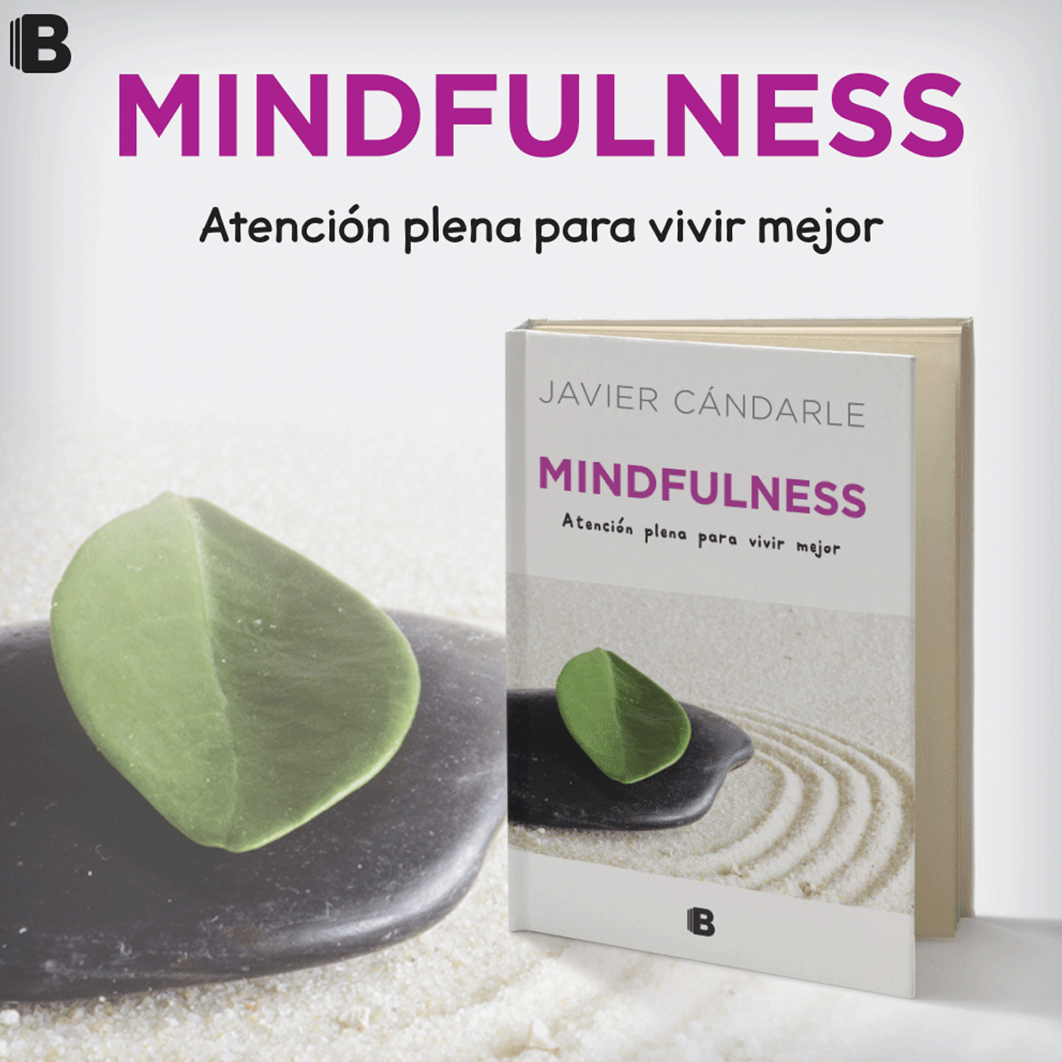 Mindfulness, atención plena para vivir mejor - Javier Candarle