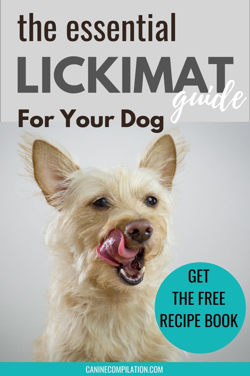 licki mats for dogs ideas