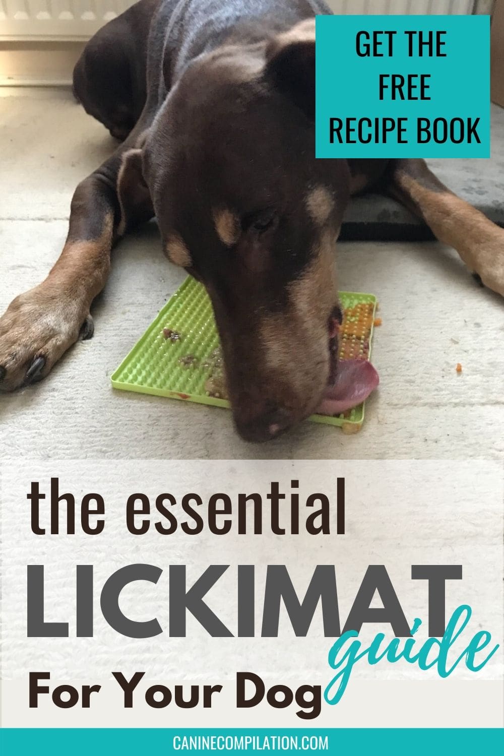 licki mats for dogs ideas