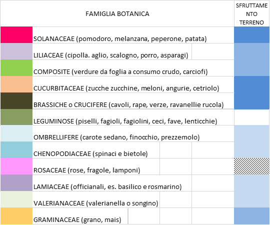 Pianificare La Rotazione Delle Colture Nell'orto – Cani, Zucchine E Marmellata 450_x_540_png