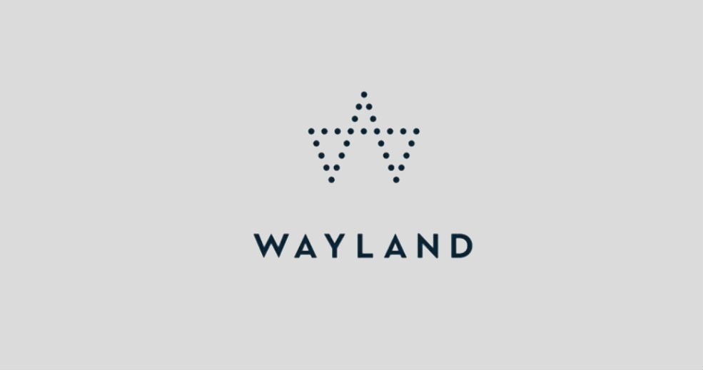 Creditor Protection sought by cannabis company Wayland Group Corp