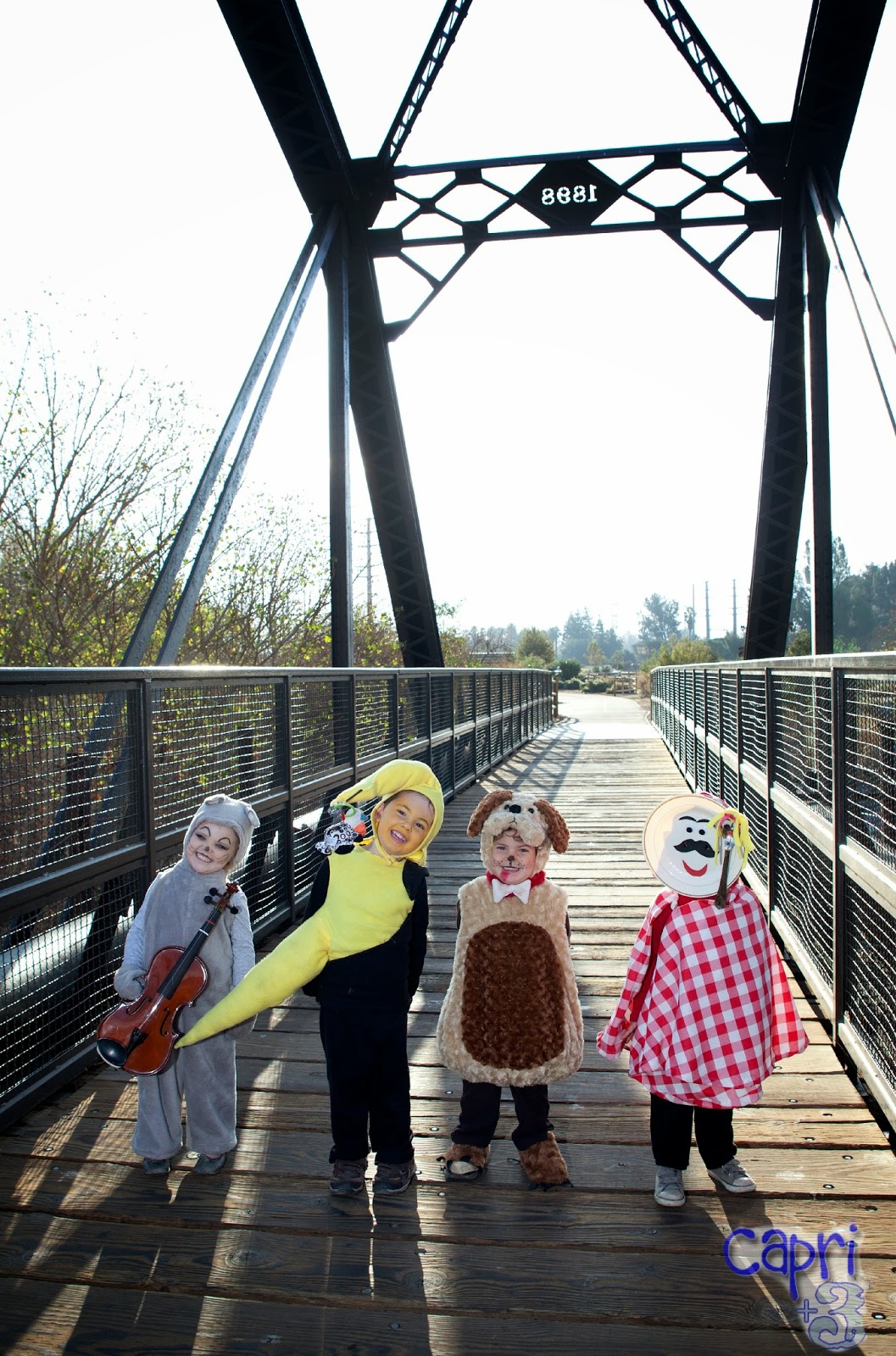 Hey Diddle Diddle Costume Photo Shoot - Capri + 3