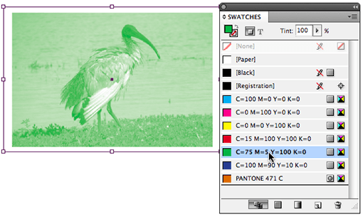 Png file and place it into an indesign document ready for print. Image Magic In Indesign 3 Cari Jansen