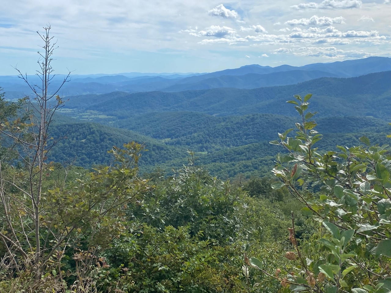 The Piece of Fly Fishing Casting Across