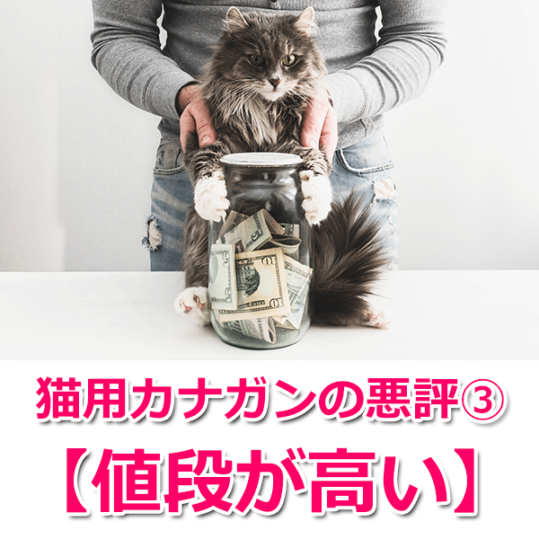 猫用カナガンの悪い口コミ・評判5つを徹底解説  キャットフードのABC