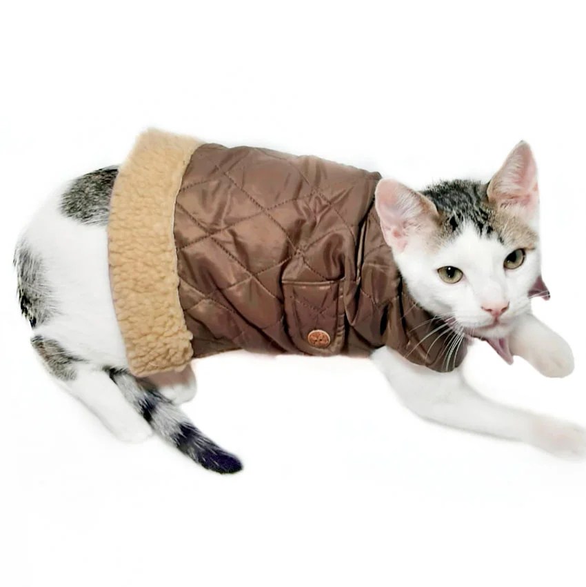 Chaleco gato pituco - Cat-oh pet shop