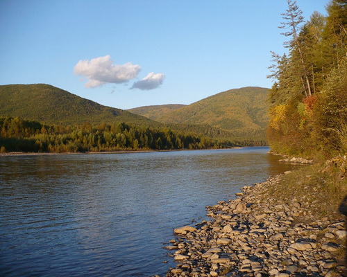 Озера карасиное, гальиное, угриное названы проценко а.в. Karasinoe Ozero Chitajte Na Satcher Fish