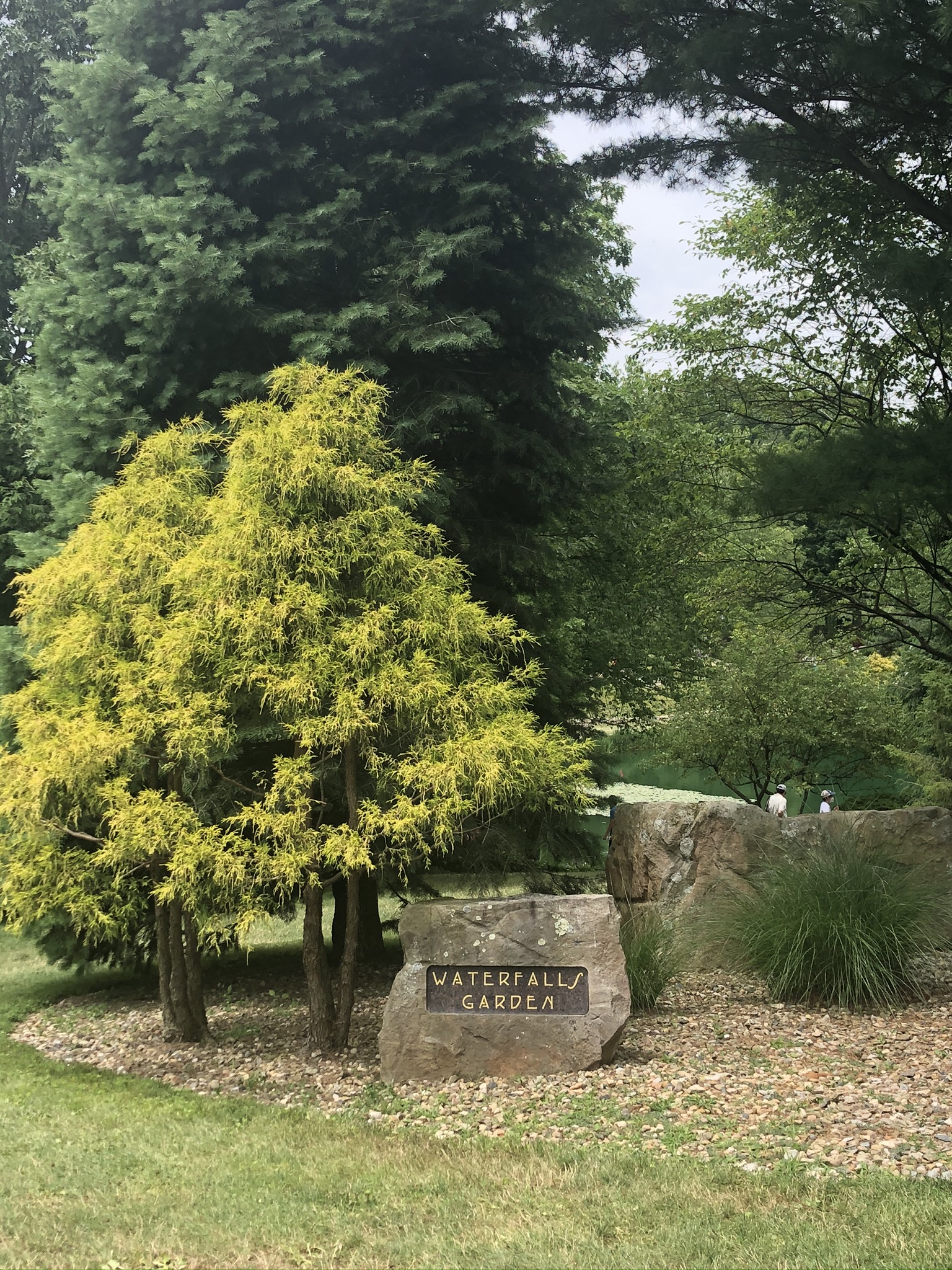 stone marking the entrance to waterfalls garden in Schnormeier Gardens