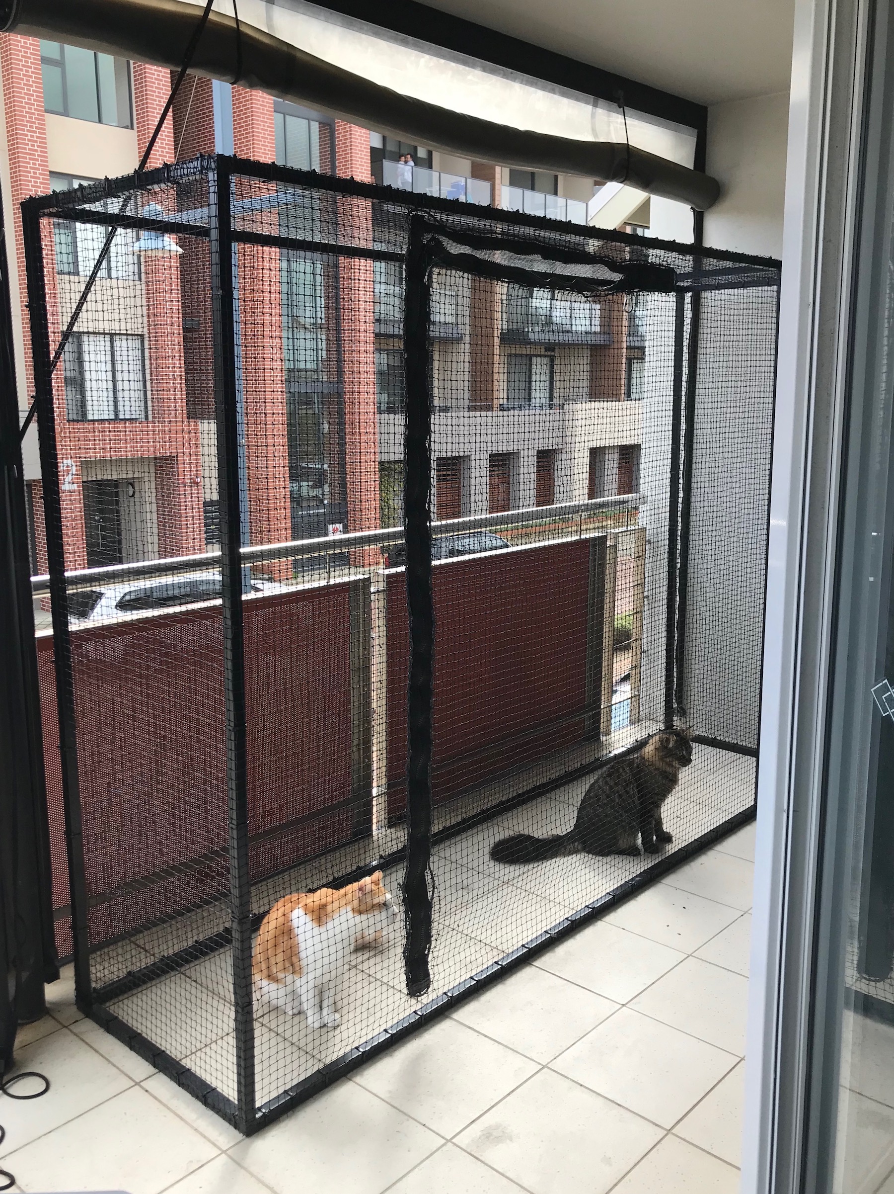 cat enclosures for renters
