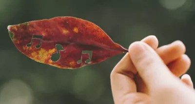 Find & download the most popular free stock photos on freepik ✓ free for commercial use ✓ high resolution images ✓ made for creative projects. Adobe Creative Cloud Stock Photos Images Videos And Assets