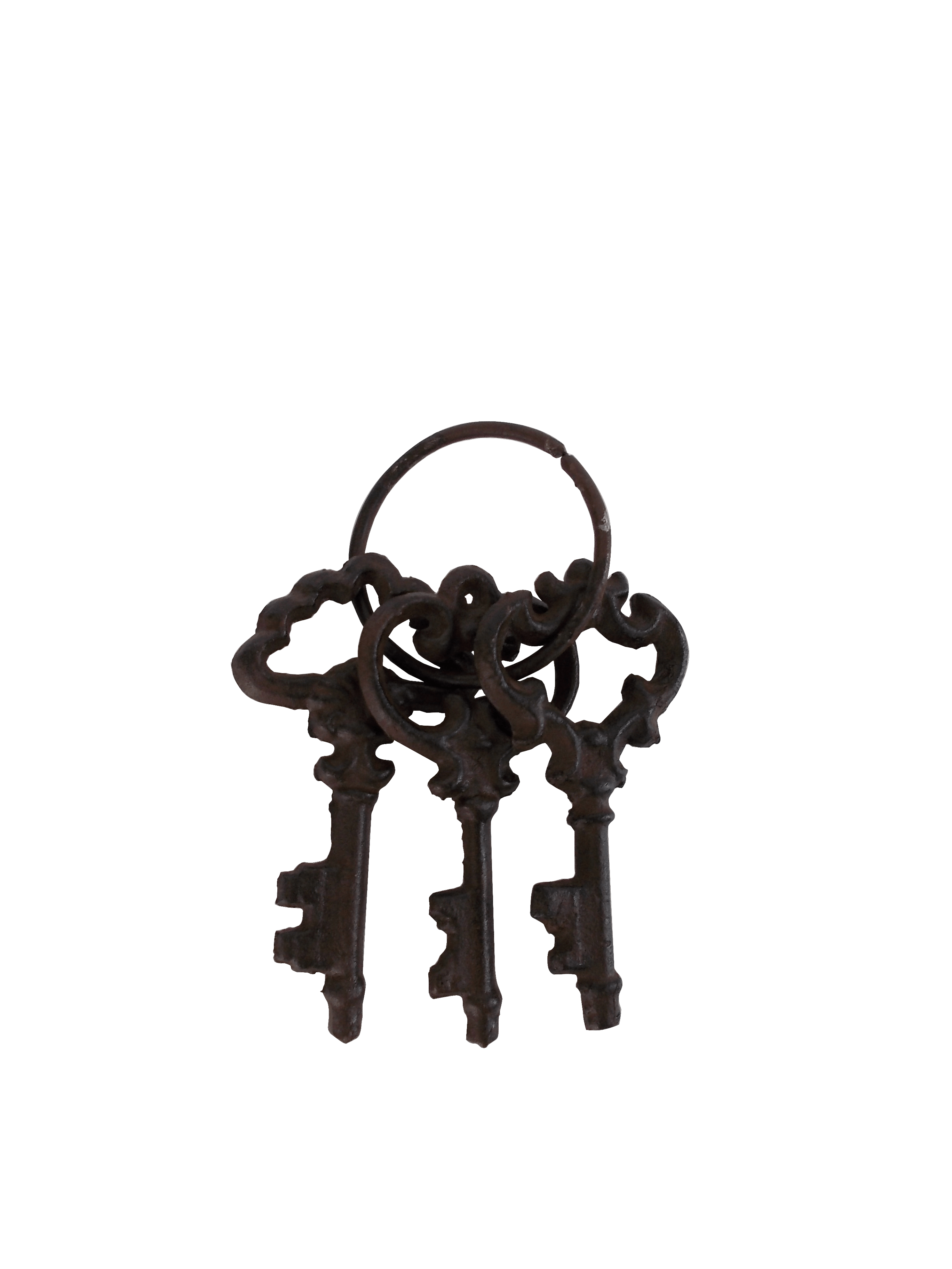Antique Bronze Skeleton Key Set C&C Home Limited