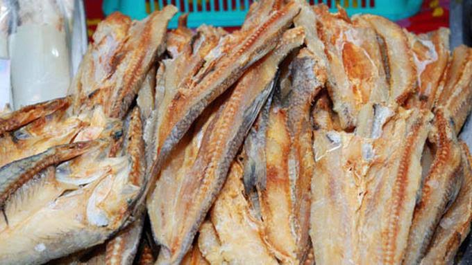 Jauhkan 7 makanan ini jika ingin kucingmu lincah dan sehat