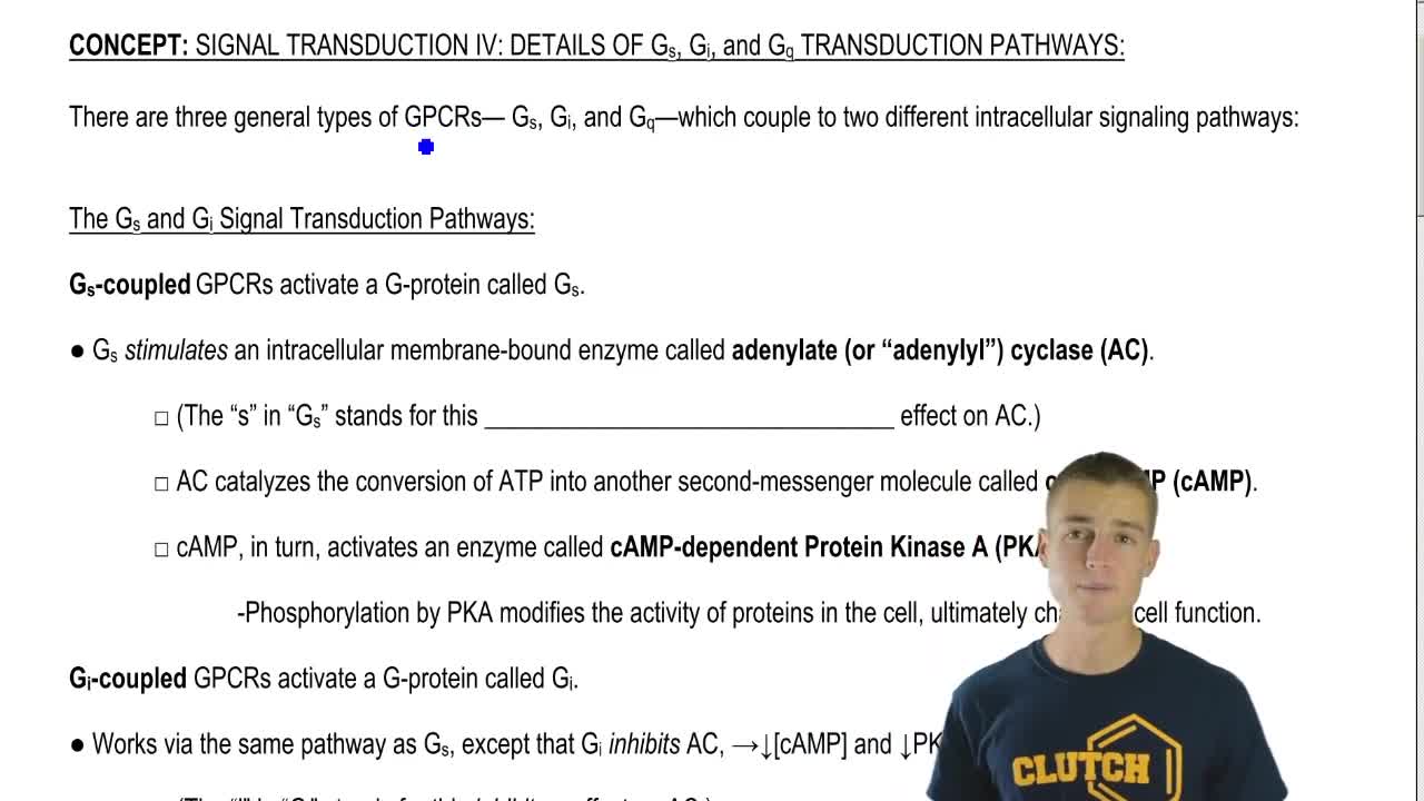 Signal Transduction Pathway Worksheet / 2 Barnes07pic