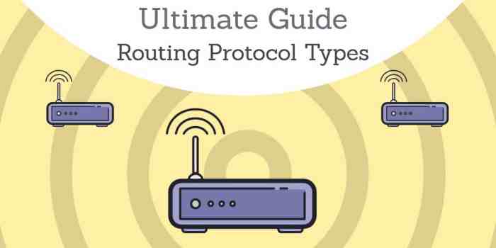 Types of Routing Protocols - The Ultimate Guide (The Essentials!)