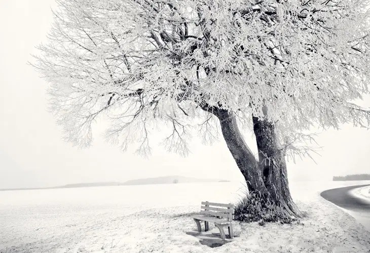 Check out this fantastic collection of black and white winter wallpapers, with 54 black and white winter background images for your desktop, . 40 Beautiful Free Winter Wallpaper Designs For Inspiration