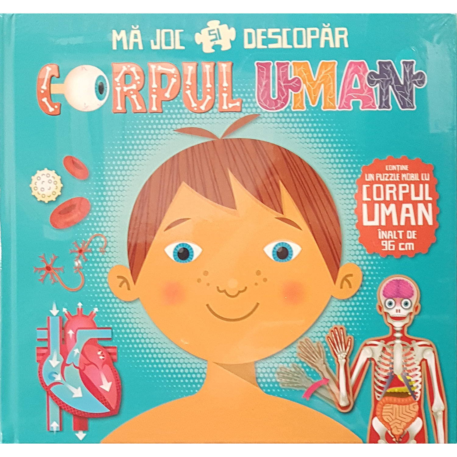 Caius Atarna Dolar American Cartea Anatomia Corpului Uman Pt Clasa A12a Stelledinchiostro Com