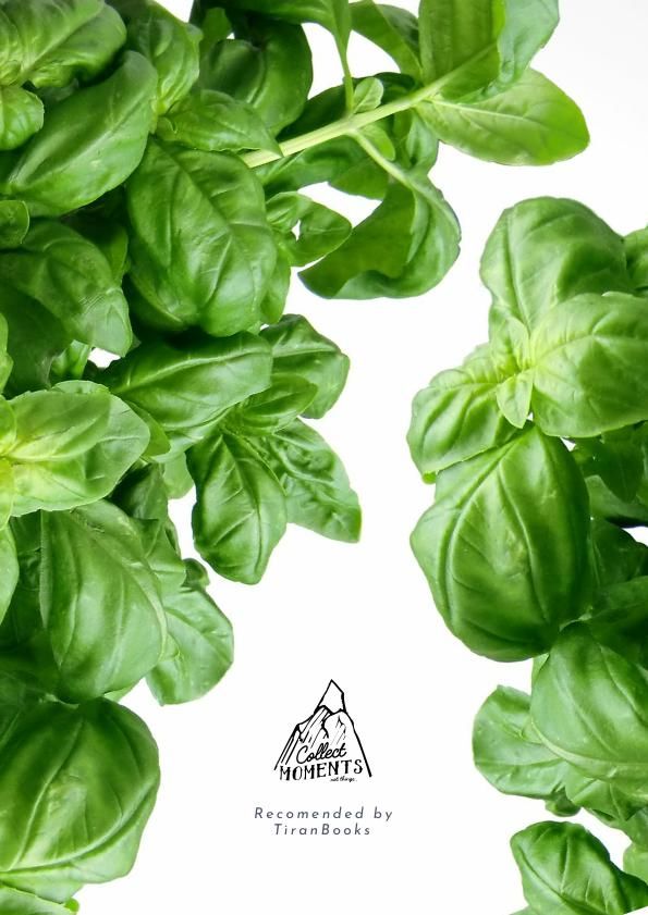 A solid marketing plan is an integral part of the overall business. Growing Plants & Gardening Book Cover Template - Flipsnack