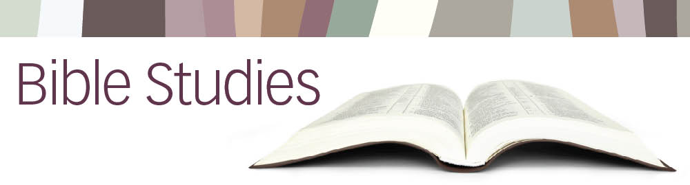 The program is tailored for . Bible Studies Regular Baptist Press