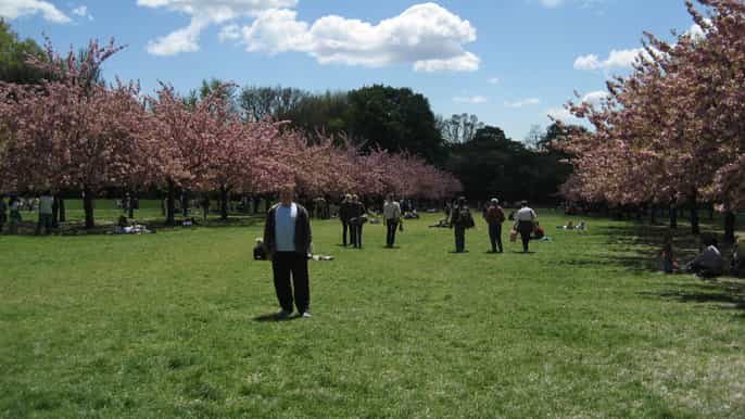 Выходы и выходы метро ботанический сад (оранжевая): Bruklinskij Botanicheskij Sad Marshrut Getyourguide