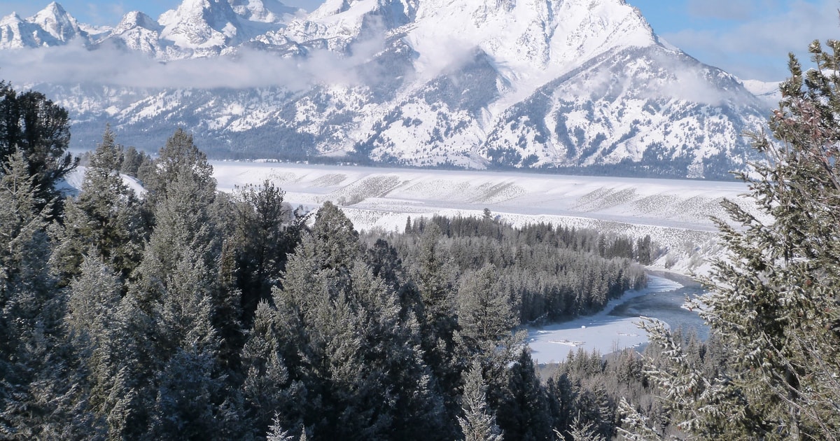 Aufgabe der bedingungssätze ist es, zu verhandeln, was passiert wäre . Jackson: HalbtÃ¤gige Kleinbustour im Grand Teton National