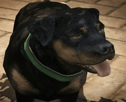 The ball can be used by franklin to play fetch with chop, . 10 Reasons To Replay GTA 5 - GTA BOOM