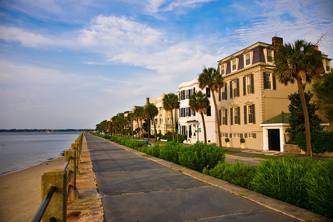 If you have an outdoor space where you want to create a haven but don't want to spend hundred. The 10 Cheapest Flights from New York (JFK) - Hopper Blog