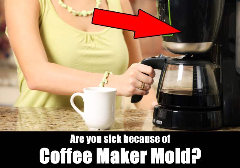 Mold and yeast like to grow in your coffee maker. Coffee Maker Mold Is Making You Sick Kitchensanity