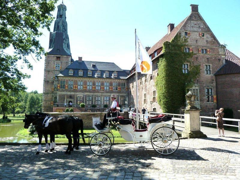 Sie sind auf wohnungssuche und möchten eine wohnung in dülmen mieten? Kutschen & Hochzeitstauben mieten - mietmeile.de