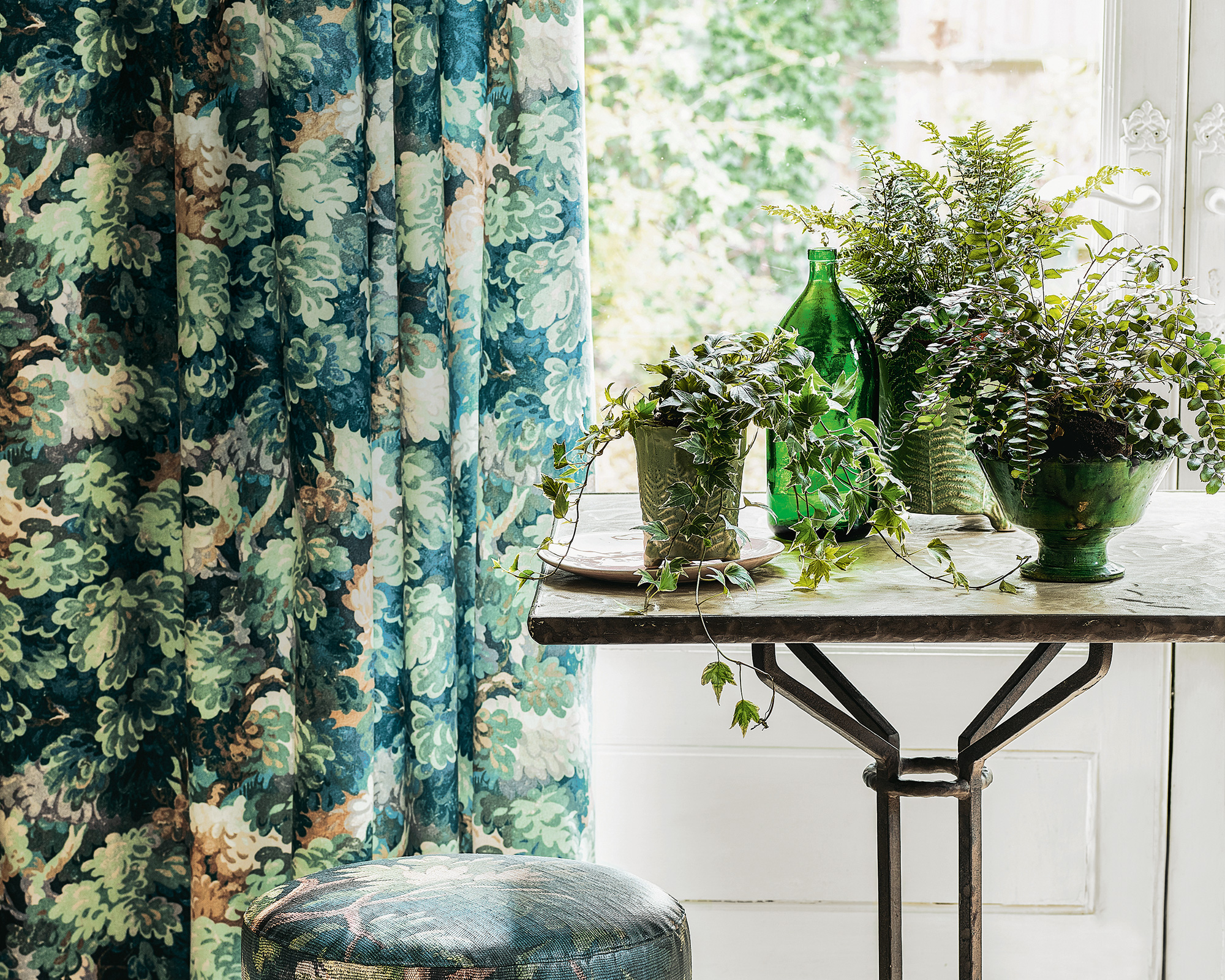 Treehugger / lexie doehner if you're on a mission to find the perfect plant to grow in your home or garden, chances are you'll find it in the succulent section. The 10 Plants You Should Never Keep In The Bathroom Homes Gardens