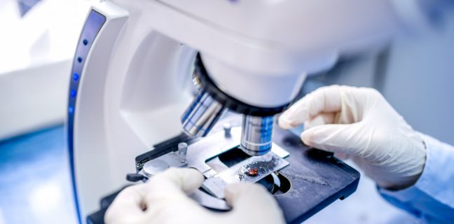 Bandi E Concorsi – Quattro Dirigenti Biologi All'azienda Zero Di Padova - Ordine Nazionale Dei Biologi 320_x_648_jpg