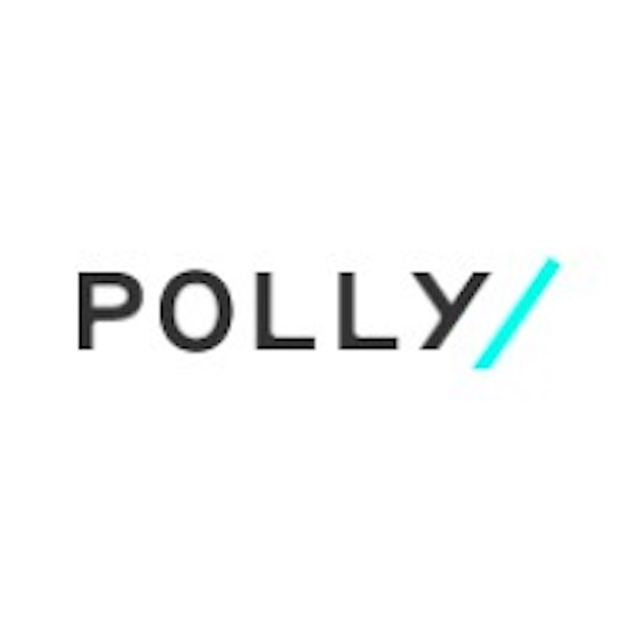 Polly net worth