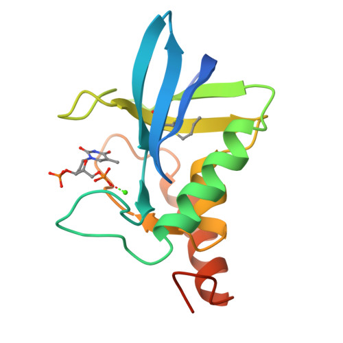 Rcsb Pdb 1a2u Staphylococcal Nuclease V23c Variant Complex With 1 N Butane Thiol And 3 5 Thymidine Diphosphate