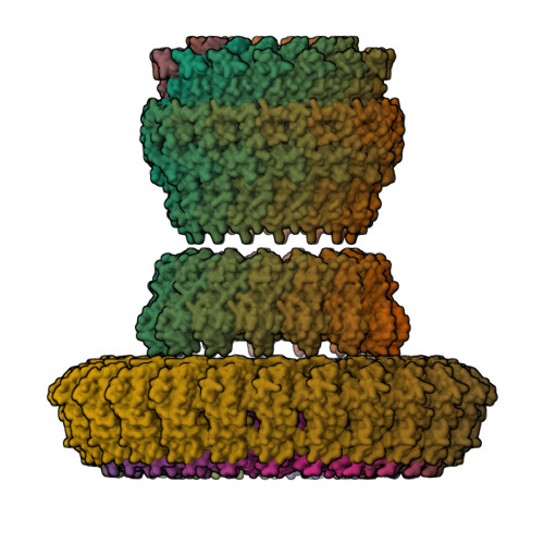 Rcsb Pdb 5tcr Atomic Model Of The Salmonella Spi 1 Type Iii Secretion Injectisome Basal Body Proteins Invg Prgh And Prgk
