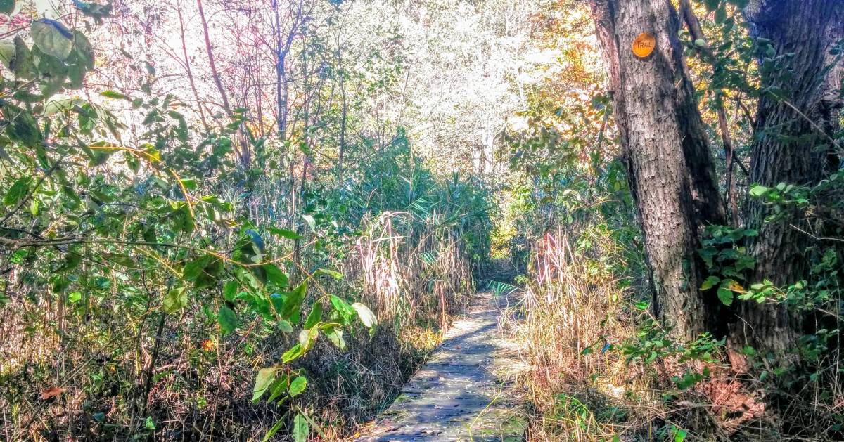 Wendy bumgardner is a freelance writer covering walking and other health and fitness topic. Where To Hike And Bike In Clifton Park Ny Trails Preserves More