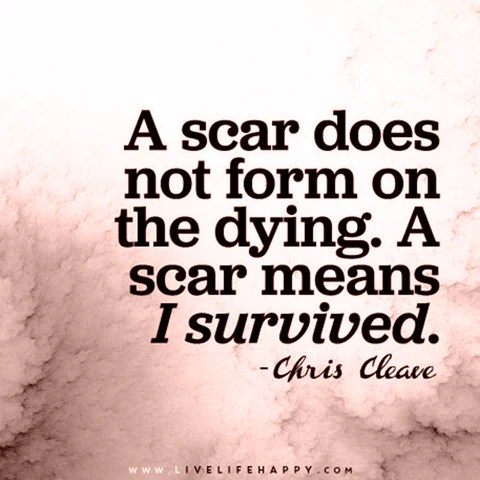 Delighting the senses or mind. 5 of our favorite breast cancer survivor quotes â Sophia Rose Intimates