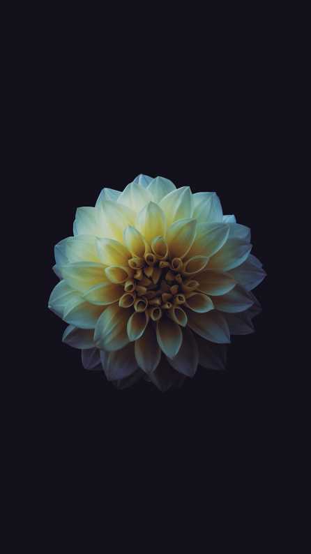 Download a beautiful android wallpaper for your android phone. Hd 4k Mobile Wallpapers