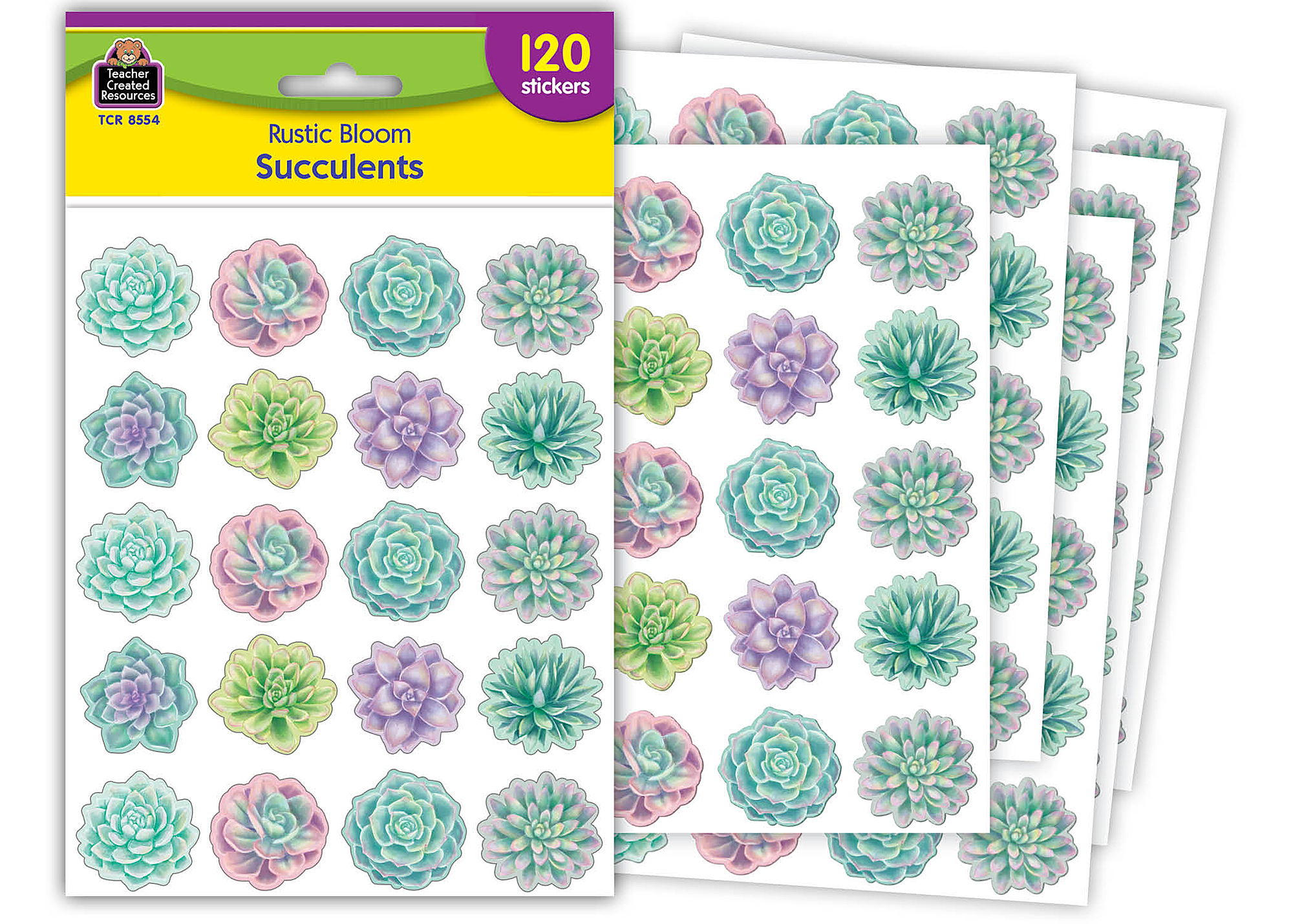 No matter where you live, there are indoor or outdoor varieties you can rely on. Rustic Bloom Succulents Stickers Tcr8554 Teacher Created Resources